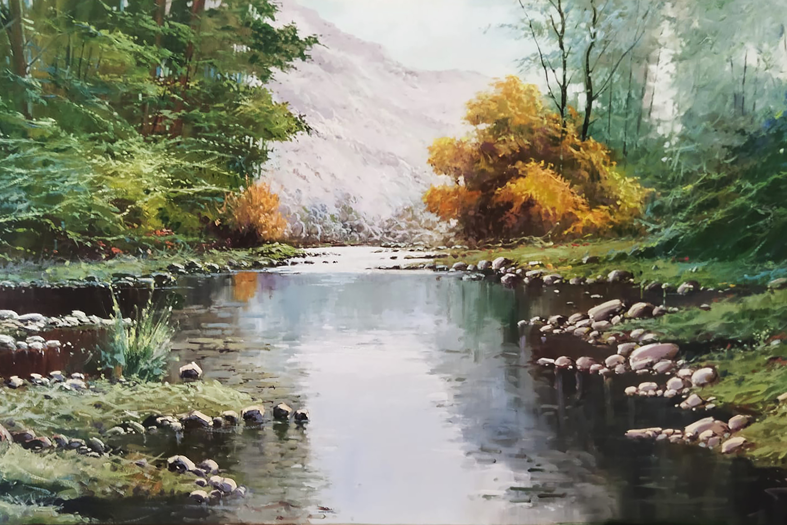 Cuadro Rio Gallego